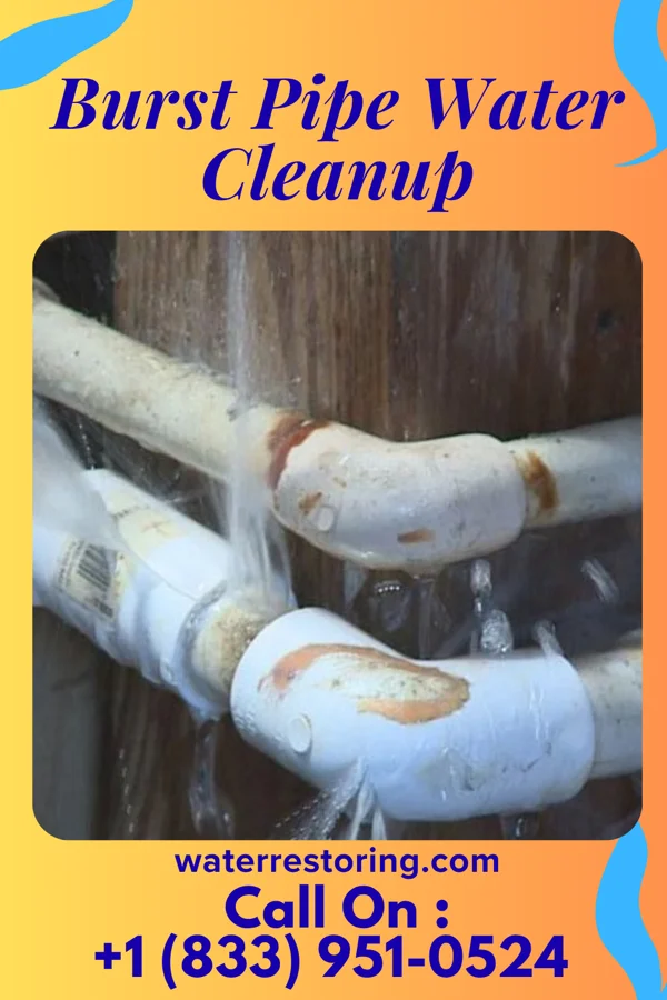 Burst Pipe Water Cleanup in Summit Hill, PA