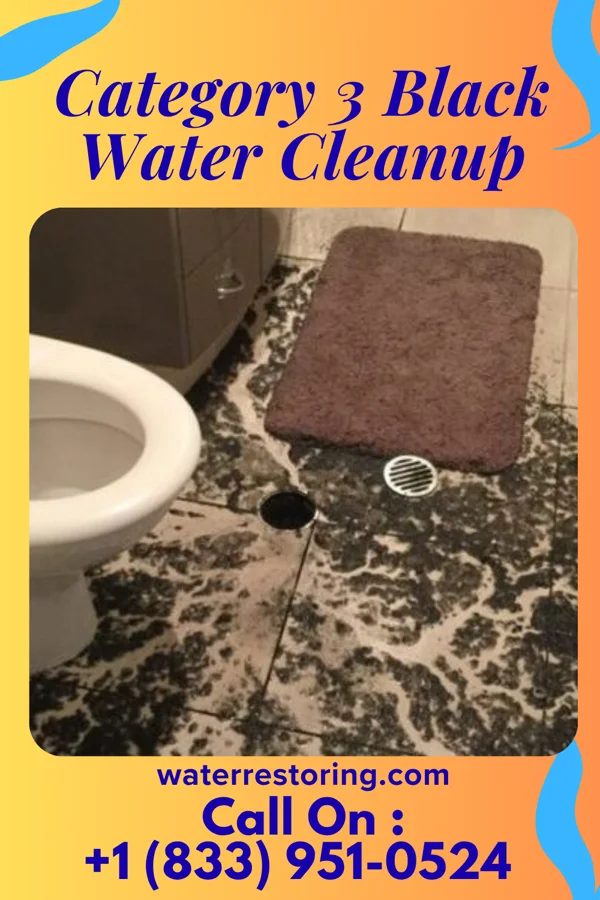 Category 3 Black Water Cleanup in Summit Hill, PA