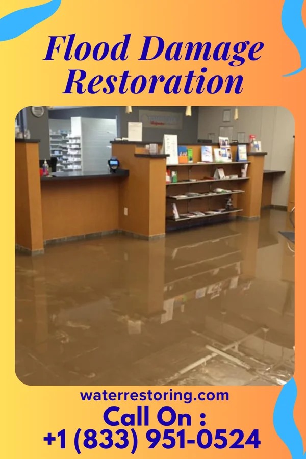 Flood Damage Restoration in Summit Hill, PA