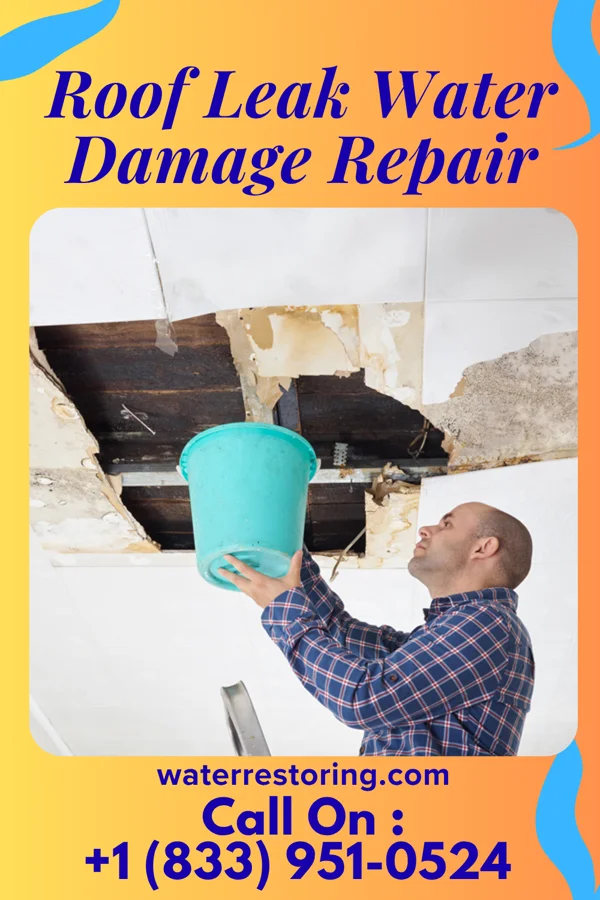 Roof Leak Water Damage Repair in Summit Hill, PA