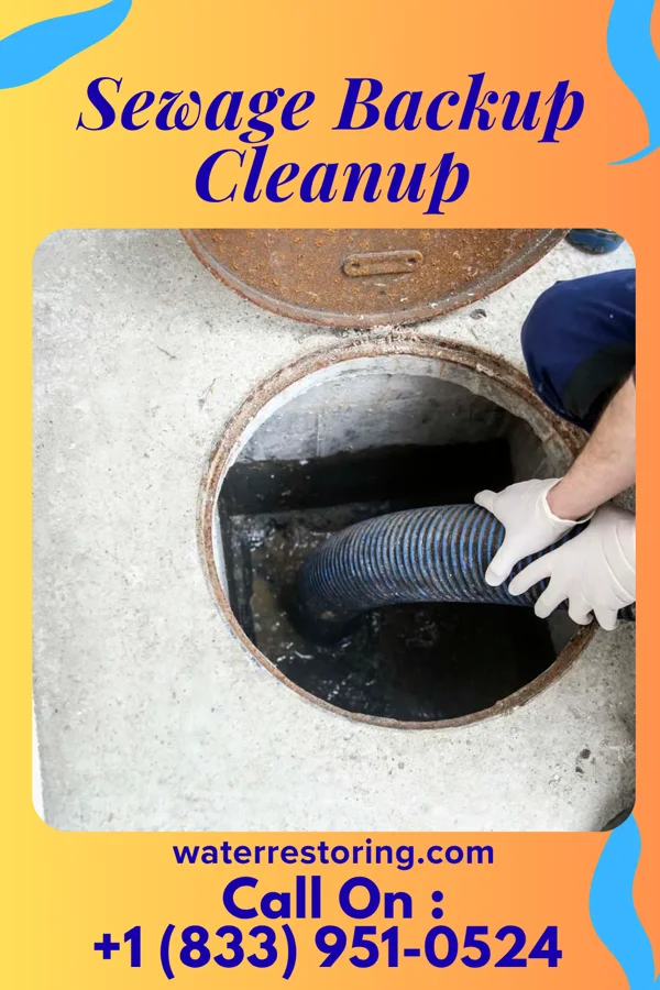 Sewage Backup Cleanup in Summit Hill, PA