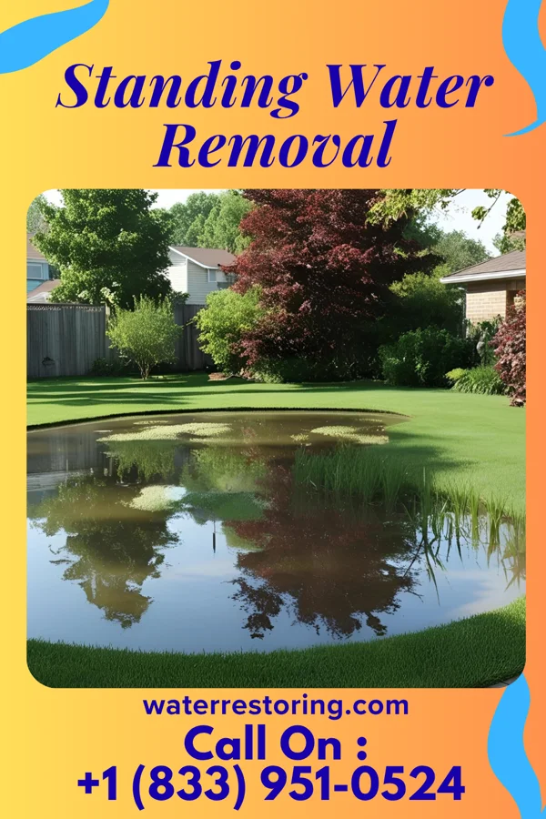 Standing Water Removal in Summit Hill, PA